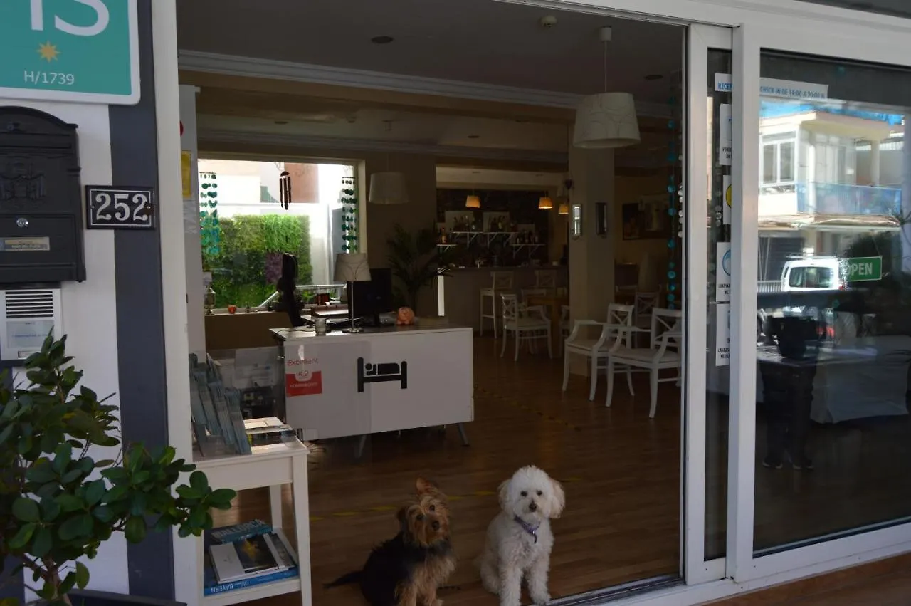 Hostal Mar Del Plata (Adults Only) El Arenal  Spanje
