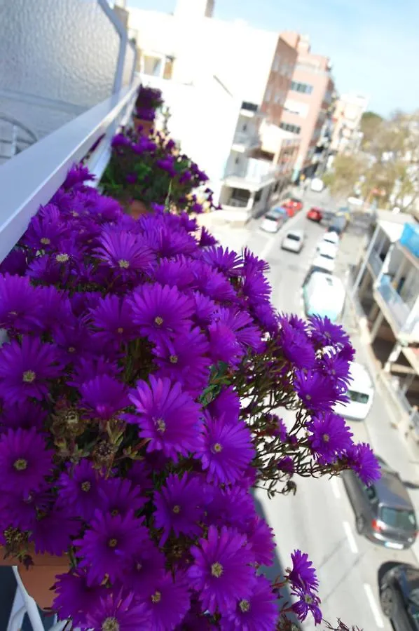Hostal Mar Del Plata (Adults Only) El Arenal  Gæstehus