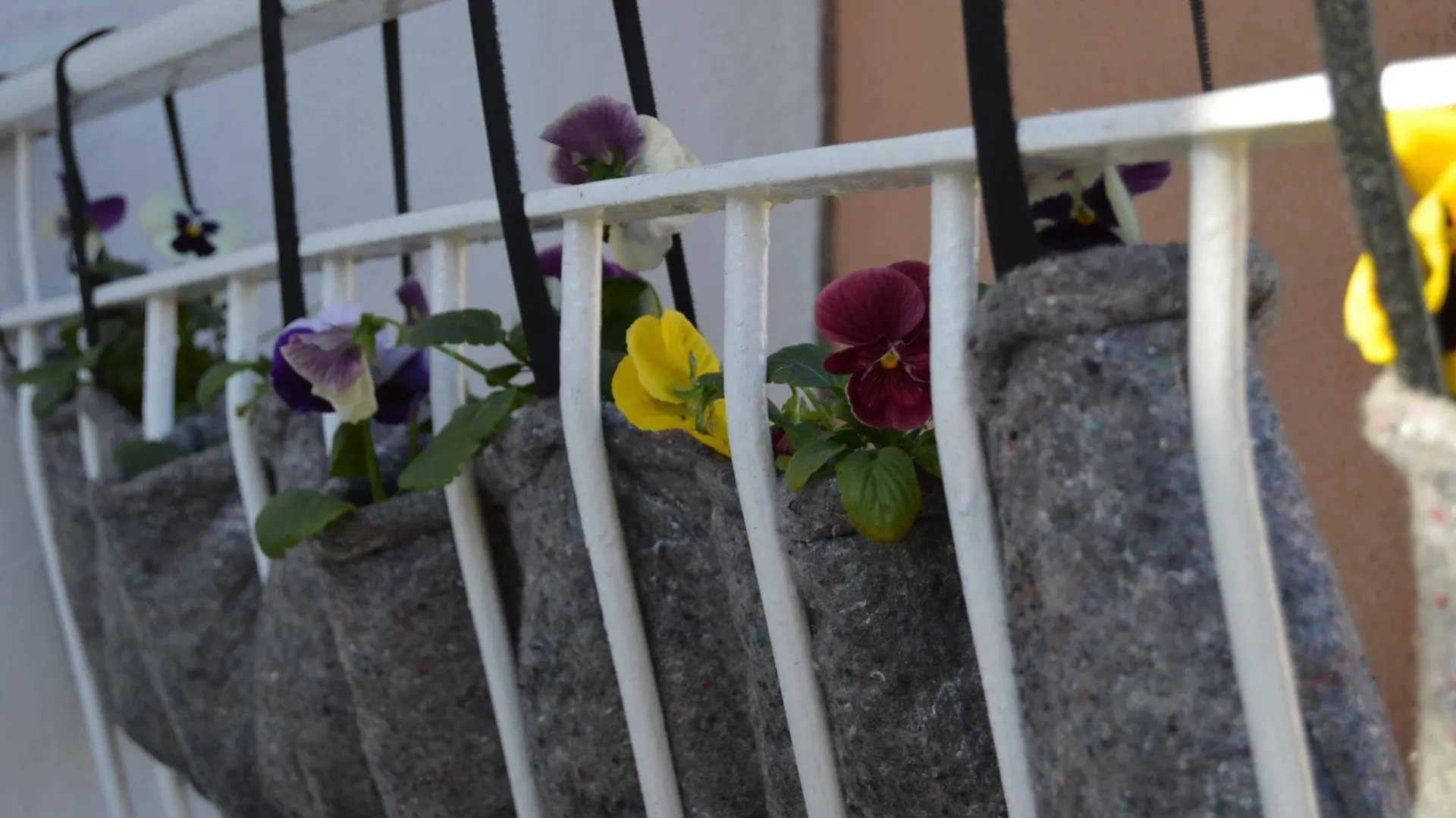 Hostal Mar Del Plata (Adults Only) El Arenal