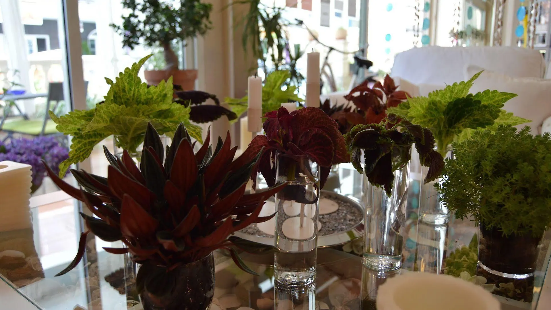 Gasthuis Hostal Mar Del Plata (Adults Only) El Arenal