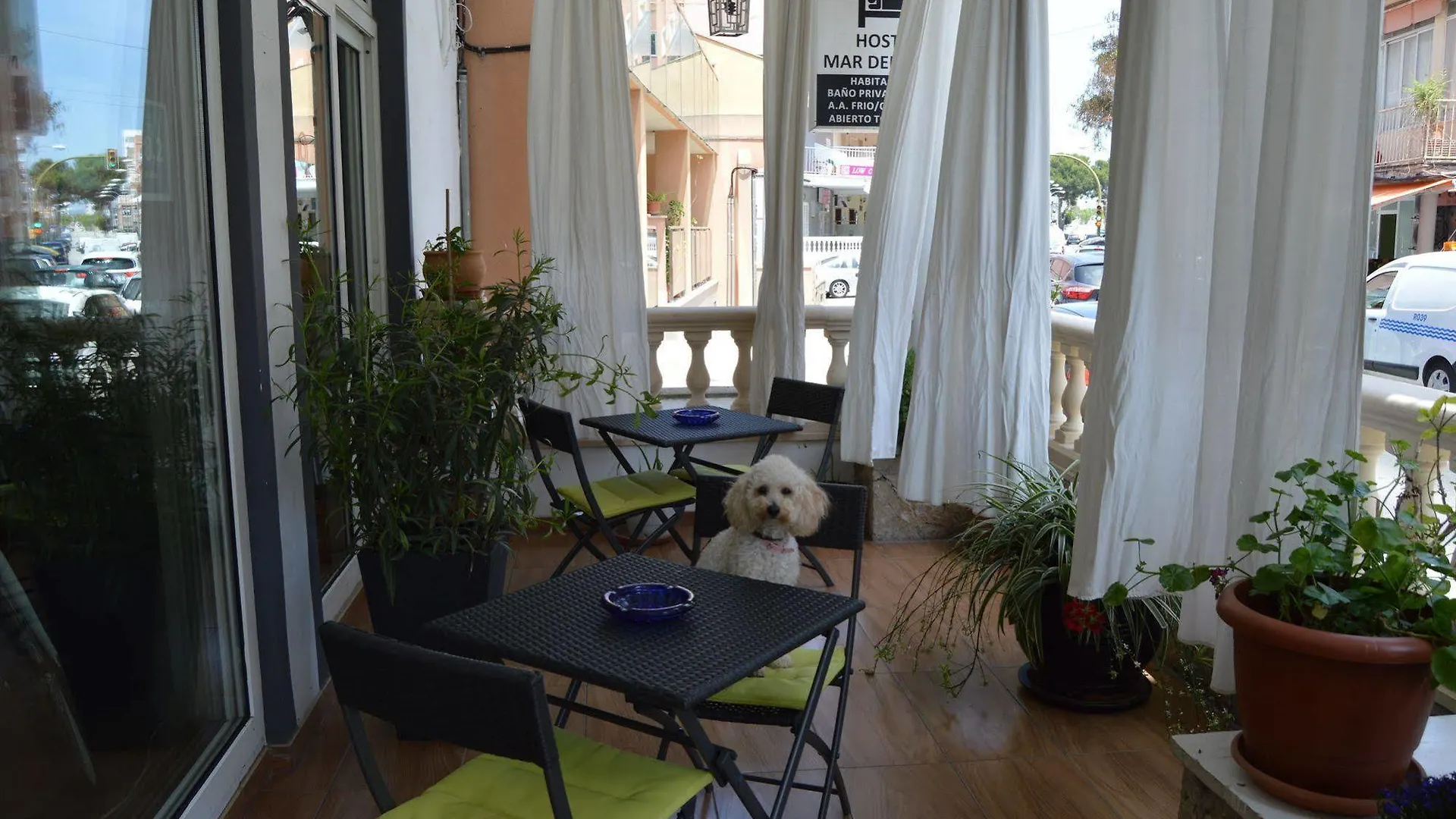 Hostal Mar Del Plata (Adults Only) El Arenal  Playa de Palma (Mallorca)
